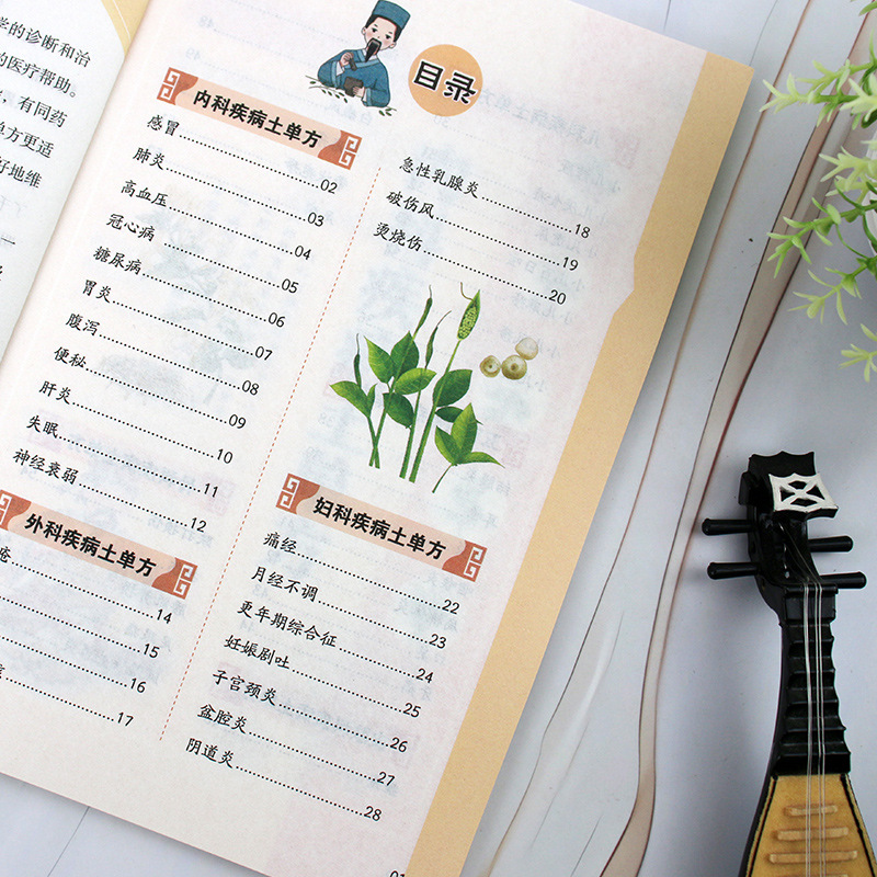 Traditional Chinese Medicine F - Wellness Herbal Medicine review and price