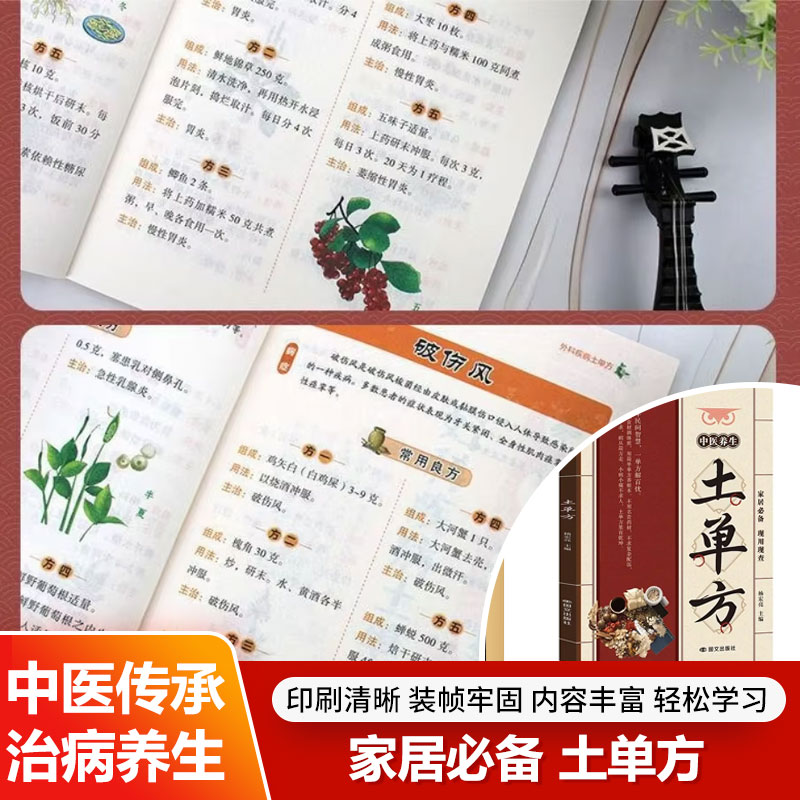 Traditional Chinese Medicine H - Wellness Herbal Medicine review and price
