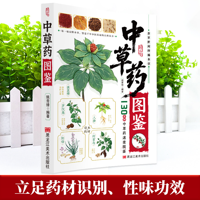 Illustrated Guide  Chinese Her - Herbal Wellness Guide review and price