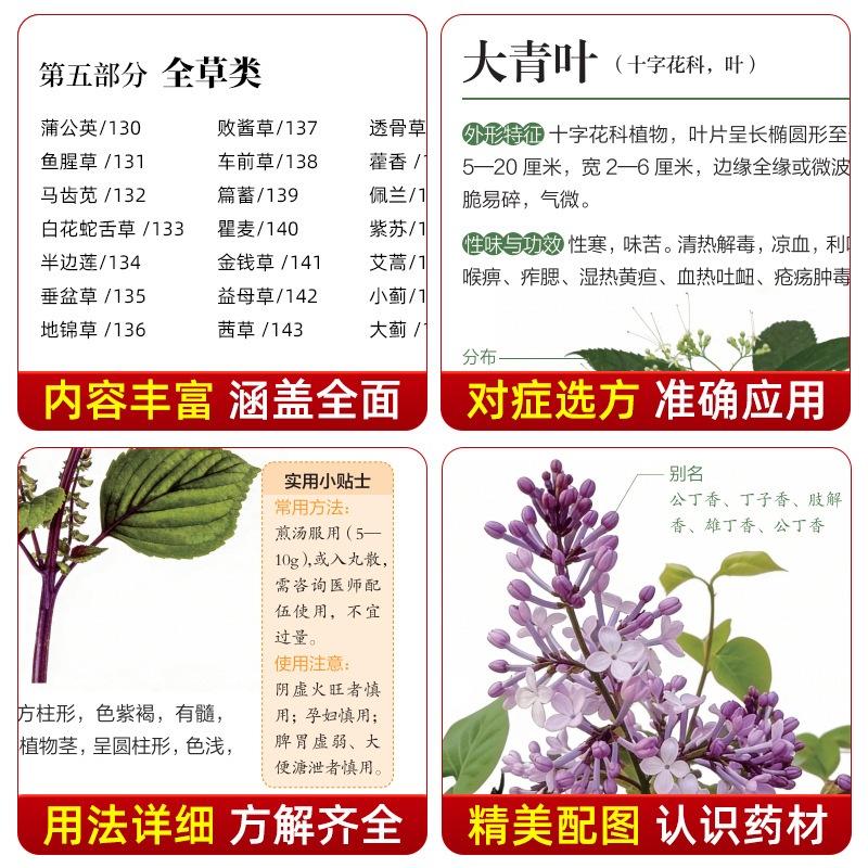 Illustrated Guide  Chinese Her - Herbal Wellness Guide review and price
